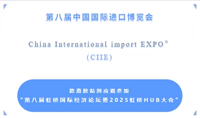 Панорамен изглед на 8-ия CIIE: Глобален център за ресурси, Luja Adhesives For...